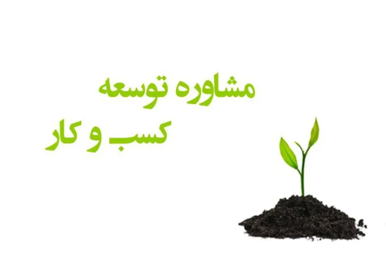 کتاب راه اندازی کسب و کار